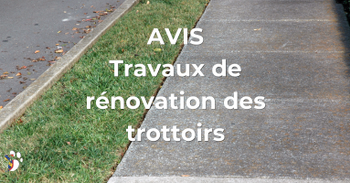 AVIS - Travaux de rénovation des trottoirs - Rue des Bureaux