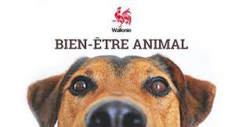 Appel à projets de la Ministre Wallonne du Bien-Être animal