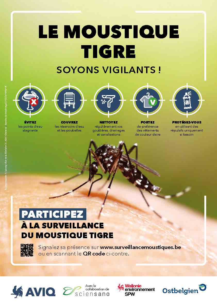 Affiche Moustique tigre.jpg