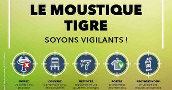 Le moustique tigre, soyons vigilants !