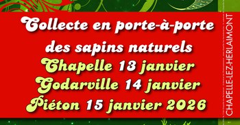 Collecte en porte-à-porte des sapins naturels