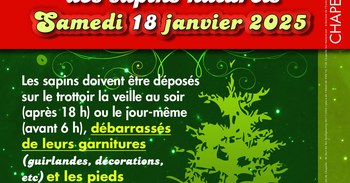 Collecte des sapins naturels - samedi 18 janvier 2025