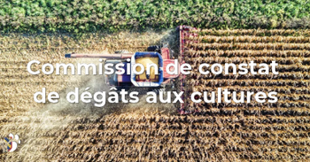 Commission de constat de dégâts aux cultures