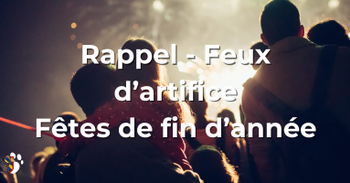 Rappel - Feux d'artifice et fêtes de fin d'année