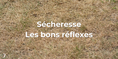 Sécheresse - Les bons réflexes