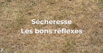 Sécheresse - Les bons réflexes